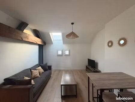 appartement plein centre meublé