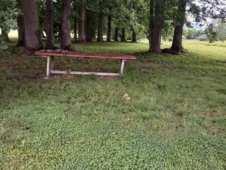 terrain à bâtir + pâture