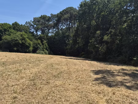 vente terrain 3565 m² boucau (64340)