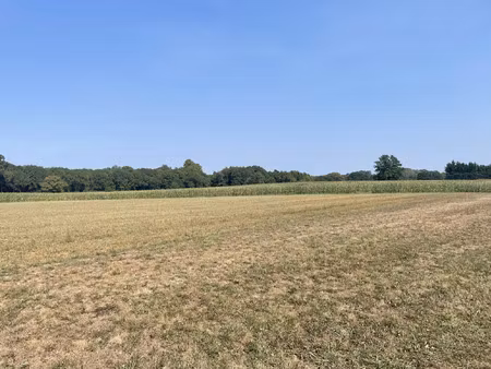 vente terrain 913 m² mimbaste (40350)