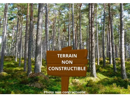 vente terrain 17967 m² saint-savin (33920)