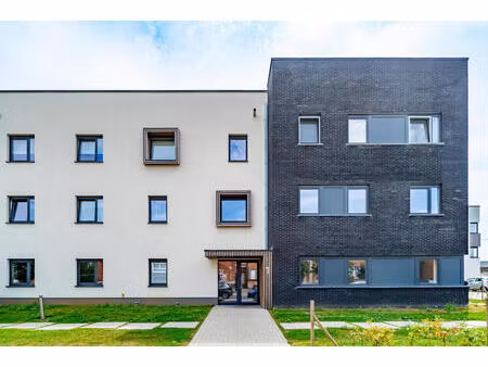 appartement te huur in braine-le-comte met 1 slaapkamer