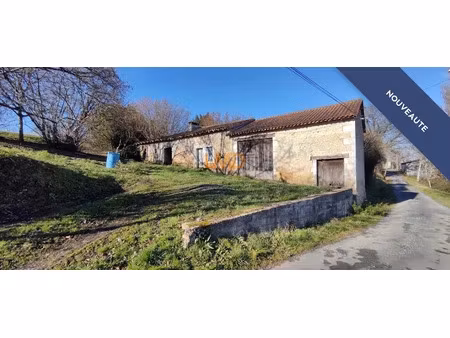 vente locaux professionnels 5 pièces 95 m² à saint-leon-sur-l'isle (24110)  64 000 €