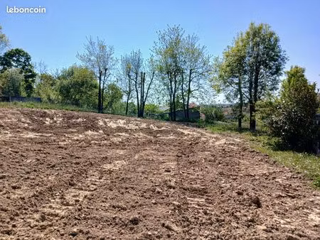 terrain viabilisé constructible