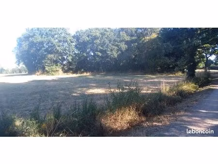 a vendre terrain agricole 826m2 camoel sud morbihan