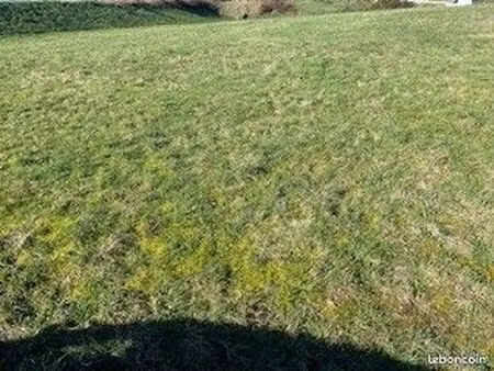 terrain 357 m² auray
