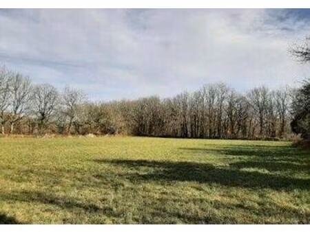 terrain constructible viabilisé à vendre