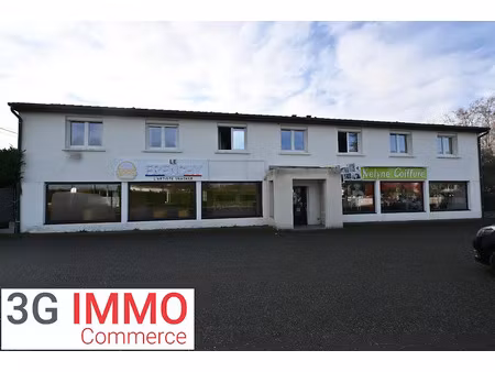 vente locaux professionnels 8 pièces 450 m² à saint-cyprien (42160)  430 000 €