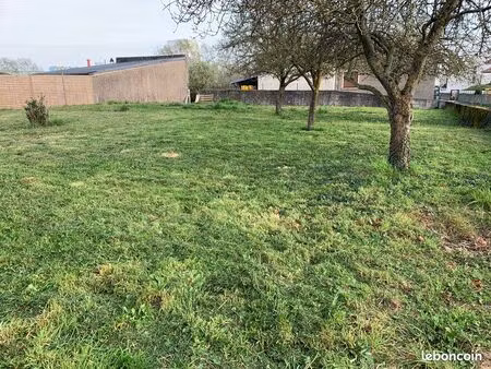 terrain constructible