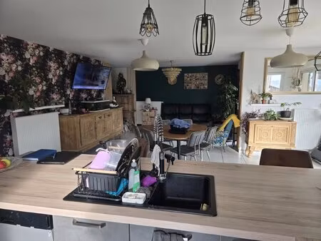 belle maison recente avec jardin