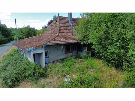 maison à rénover avec fort potentiel à 10 minutes de louhans