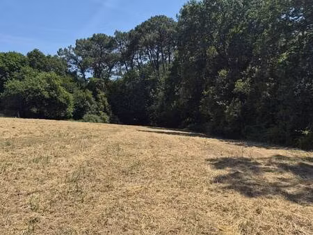 terrain constructible à vendre