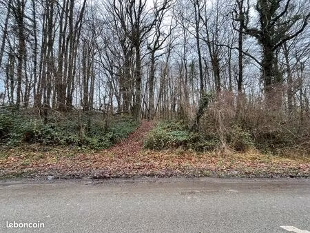 vente foret de 1277m² avec grands arbres centenaires  idéal cabane perchée