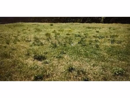 terrain constructible à vendre