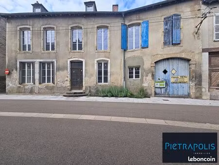 immeuble 530 m² vignory