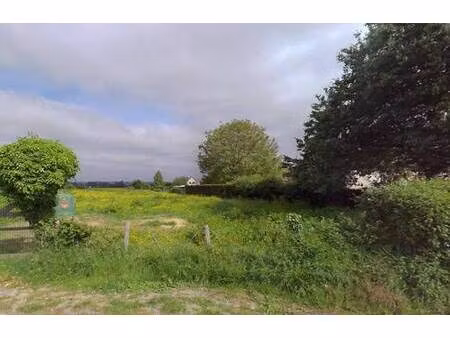 terrain constructible à vendre