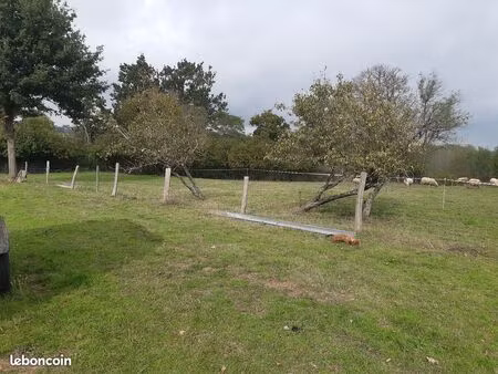 terrain constructible viabilisé