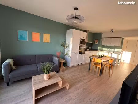 appartement meublé 2 pièces 45m2