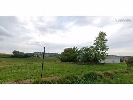 terrain constructible 4259 m²