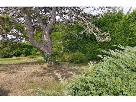 terrain à vendre
