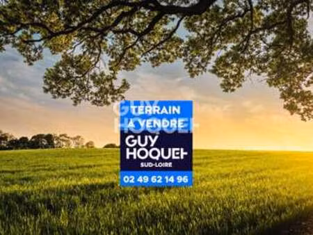 vente terrain à haute-goulaine (44115) : à vendre / 614m² haute-goulaine
