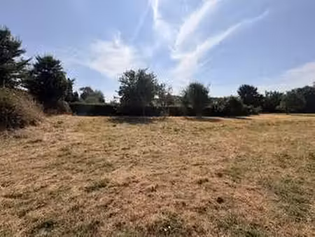 vente terrain à bénodet (29950) : à vendre / 534m² bénodet
