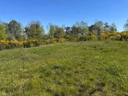 parcelle agricole de 1 66ha à durbuy (tohogne)