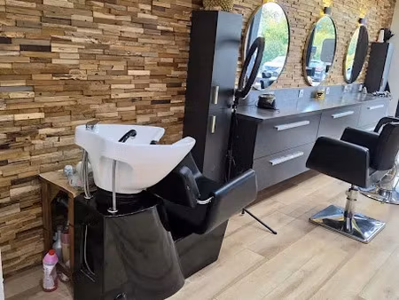 location locaux professionnels 1 pièce 45 m² à bourgoin-jallieu (38300)  405 €