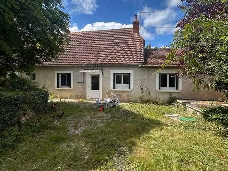 charmante maison rénovée avec jardin - orniac