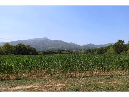 terrain à vendre