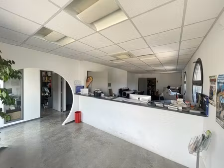 ales - immeuble - bureaux - 250m2 - 1 garage - parkings.