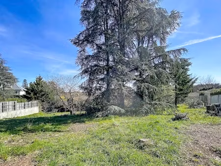 terrain - 1131 m2 - ch
