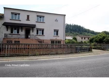 maison à vendre 5 pièces dalem (57)  garage  sous sol et jardin