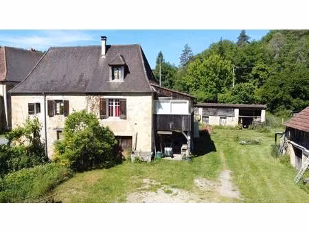 ancien moulin en périgord noir - 3 chambres  ruisseau  dépendances et 3 hectares de nature