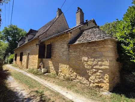 charmante maison ancienne au cœur du périgord noir