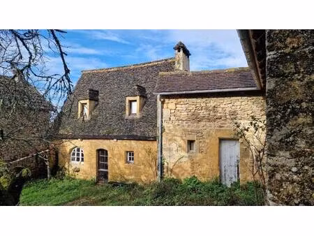 charmante maison en pierres aux eyzies avec jardin