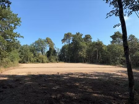 terrain constructible à vendre à trélissac  4.292m²  dont environ 4000 m2 de constructible