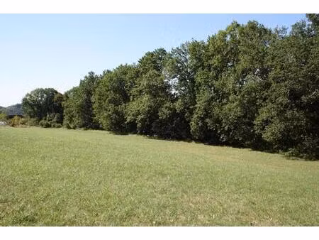 beau terrain de 7000m² constructible sur 5000m² environ à 10 minutes de toutes commodités
