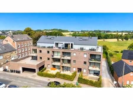 appartement 2 chambres avec terrasse  jardin et parking à ba