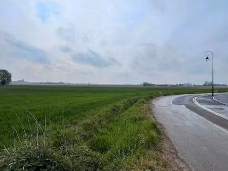 terrain 1 206 m² eringhem