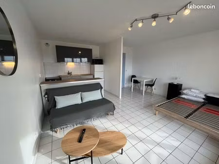 appartement meublé 35 m² + balcon + garage + cave