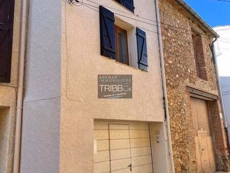 tribbu
