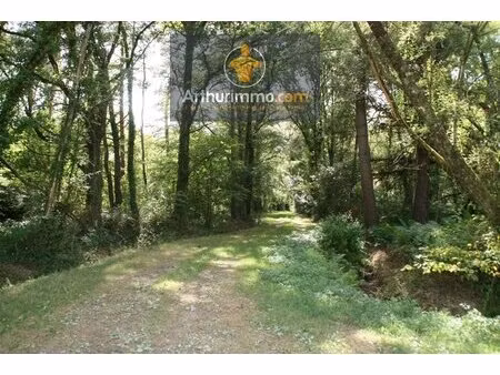 hellean parcelles boisées 9 400 m²