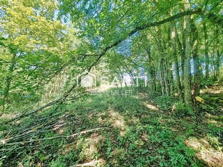 terrain agricole 2 593m²