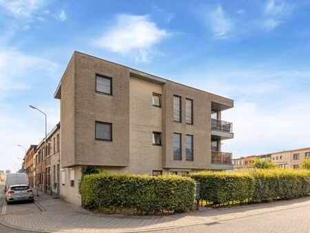 appartement à vendre à hoboken € 290.000 (lqp7g) - nick&ik | zimmo