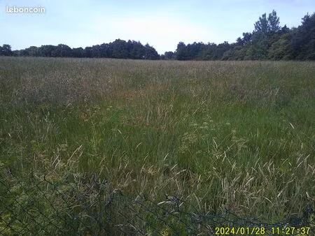 terrain agricole
