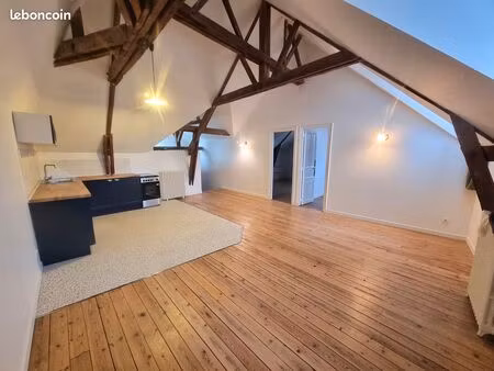 appartement spacieux et lumineux