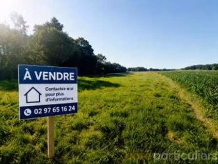 vente terrain à languidic (56440) : à vendre / 452m² languidic
