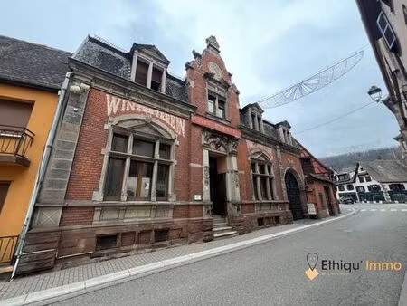 prestigieux immeuble de rapport en vente à mutzig  france