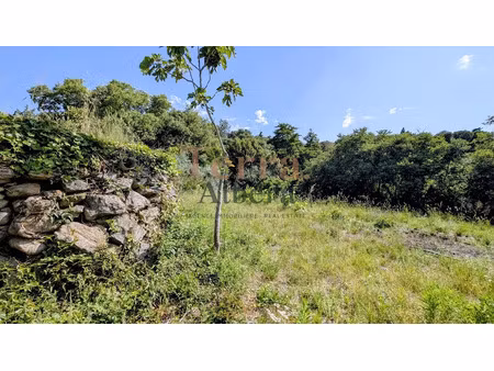 vente terrain 1450 m² à villelongue-dels-monts (66740)  13 000 €
